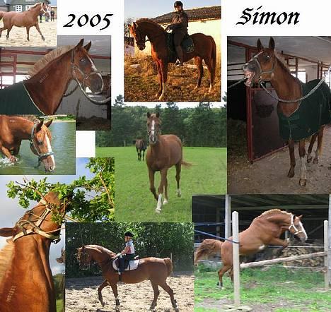 Traver Simon Langkjær billede 4