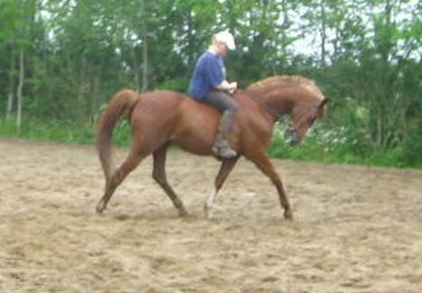 Traver Simon Langkjær - nyt billede..7/3-05 billede 6