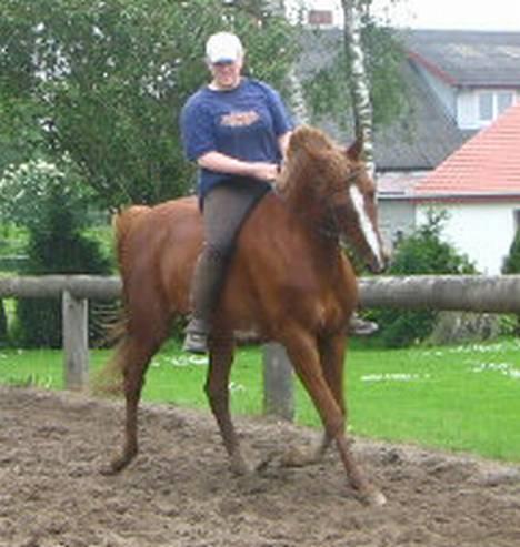 Traver Simon Langkjær - 4 juni 2005 den her er nu os meget fin.. man må godt være lidt selvglad engang imellem.. billede 7