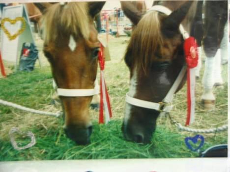 Traver Simon Langkjær - scottie (min gamle pony, hun lever skam stadig,i bedste velværd, hun skal til og starte på distriktsplan med sin nuværende ejer) også min dejlige lille simon, hvor de er til dyreskue i hobro 2000  billede 9