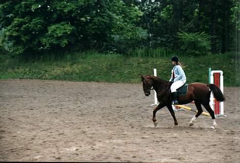 Traver Unique Møn *DØD 2/9-2008* billede 6