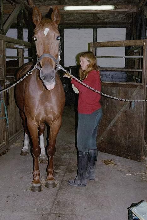 Traver Unique Møn *DØD 2/9-2008* billede 10