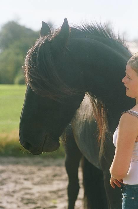 Frieser Dark fan der Wagner *DØD* billede 3