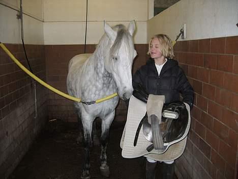 Connemara Elmely's Top Gun - Efter endt dressur stævne, 2 år siden. billede 9