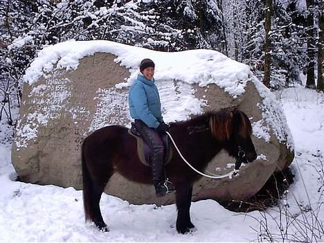 Islænder irpa - her står vi forand Tybjerg stenen. billede 5