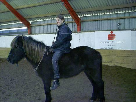 Islænder irpa - sidste år smuttede vi lii en tur indenfor og slap væk fra møgvejret billede 7