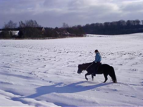 Islænder irpa - long way home billede 9