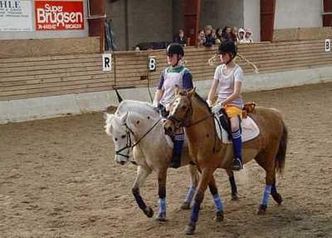 Anden særlig race Dunja - Dunja og April da vi rider parridning billede 4