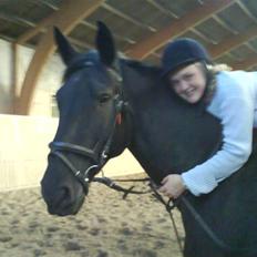 Oldenborg HHE's Turbo - † R.I.P †