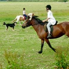 Anden særlig race Lover Girl †