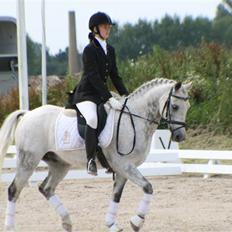 DSP Mr. Happy Goes Lucky