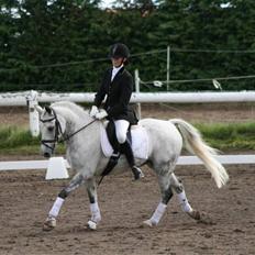 DSP Mr. Happy Goes Lucky