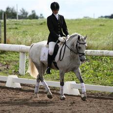 DSP Mr. Happy Goes Lucky