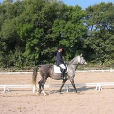 Anden særlig race máshiri †R.I.P†