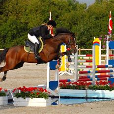 Anden særlig race Nørlunds Pokémon solgt