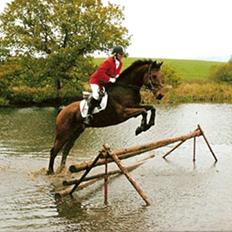 Dansk Varmblod Ladidah(Aflivet)