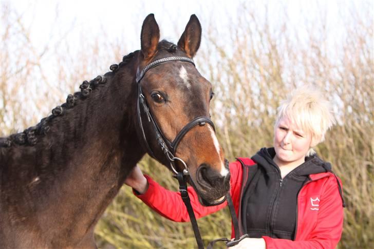 Dansk Varmblod EsperanzoH aflivet 260309 - 24/3-09 billede 4