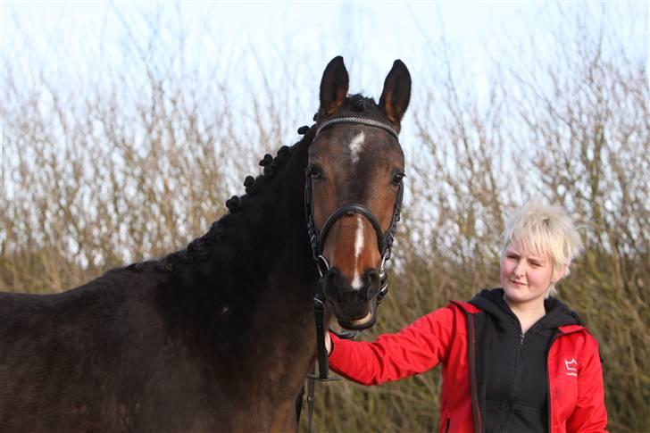 Dansk Varmblod EsperanzoH aflivet 260309 - 24/3-09 billede 5