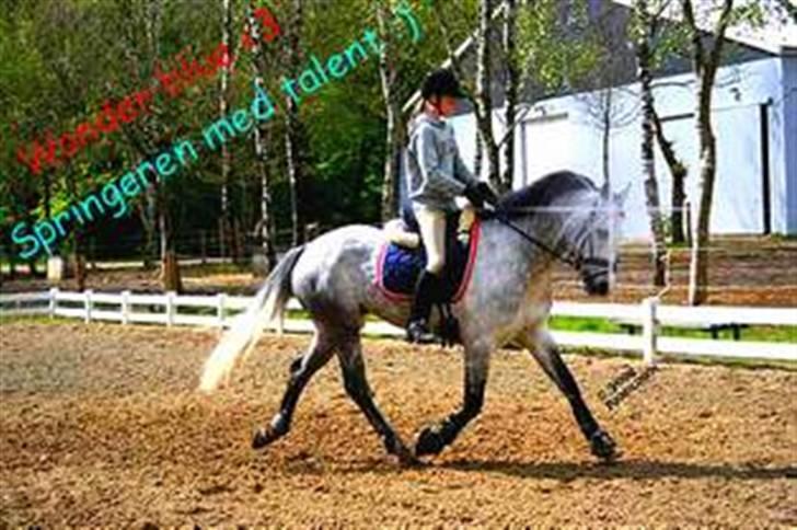 Anden særlig race Wonder Blue R.I.P.<3 - year malle tak <3 taget af; Janni, redigeret af; malle <3 super ;D billede 18