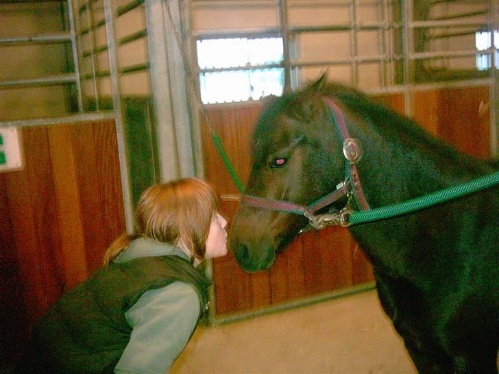 Anden særlig race Ami (SOLGT) :'( - 4# Det jo  altid godt med et lille kys.. billede 4