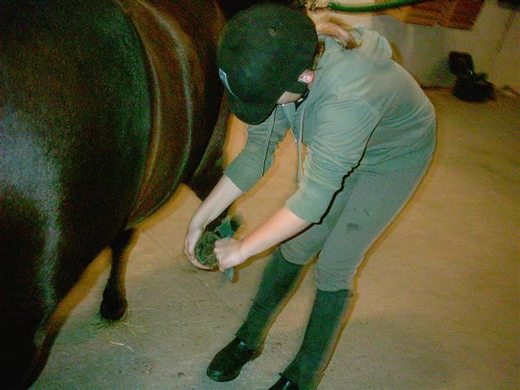 Anden særlig race Ami (SOLGT) :'( - 6# Tjja man skal jo rense hove....  :o billede 6