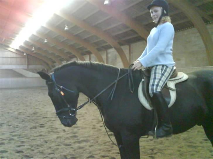 Oldenborg HHE's Turbo - † R.I.P † - Mig og min YNDLINGS dreng i verden :-* [Foto: Sara] billede 1