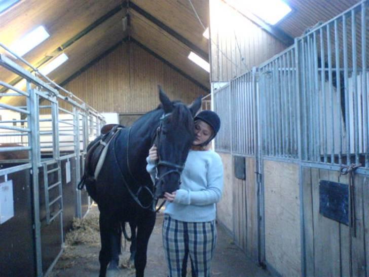 Oldenborg HHE's Turbo - † R.I.P † - Vi elsker at nusse , det er så hyggeligt :d [Foto: Sara] billede 5