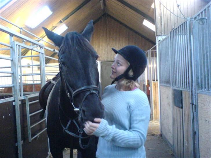 Oldenborg HHE's Turbo - † R.I.P † - Vi elsker hinanden såååå meget :-* [Foto: Sara] billede 7