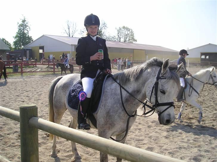 Arabisk fuldblod (OX)  Shadow -  ox  - Jeg ser pisse grim ud ..men.. kig på min smukke pony (; billede 7
