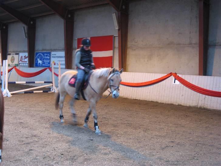 Anden særlig race Jerry (Aflivet) - skridt (: billede 5