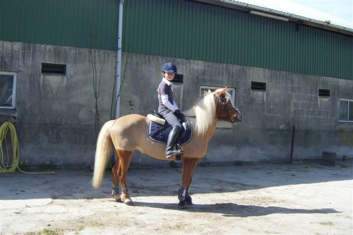 Anden særlig race » Miss Movie Star | SOLGT - Så Movie nu vi klar til at springe XD billede 3