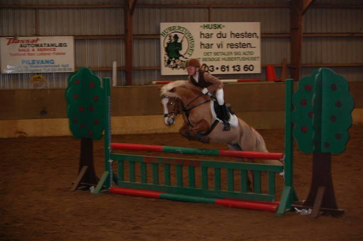 Anden særlig race » Miss Movie Star | SOLGT - Weee... XD billede 4