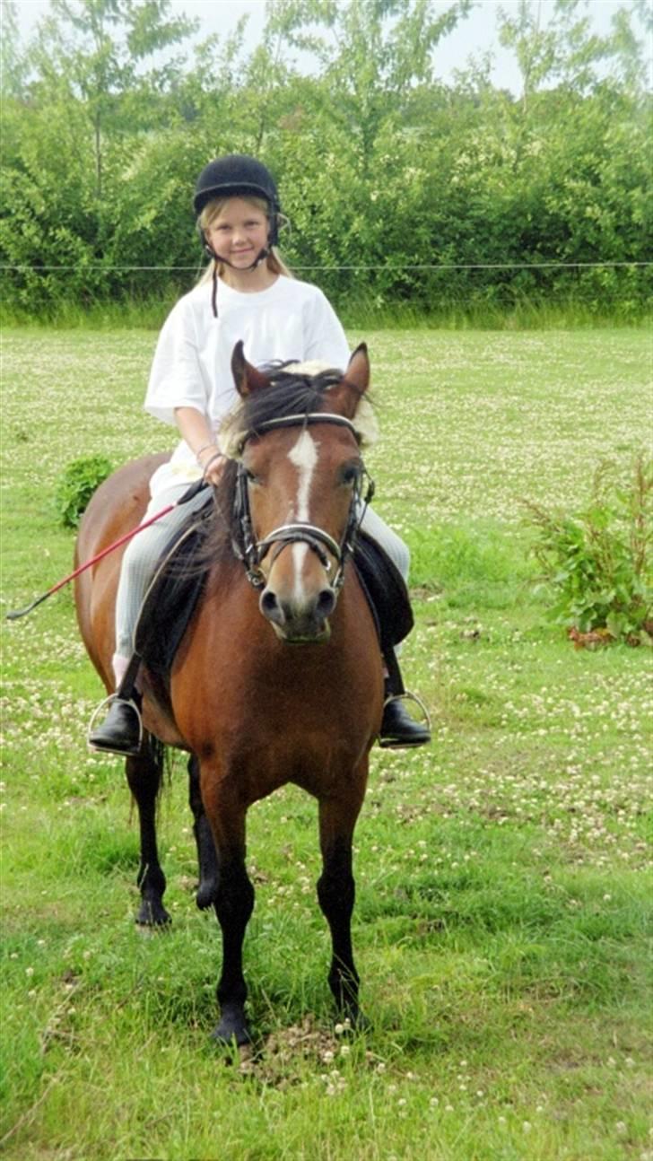 Anden særlig race Lover Girl † - Sabrina med sin elskede pony billede 2