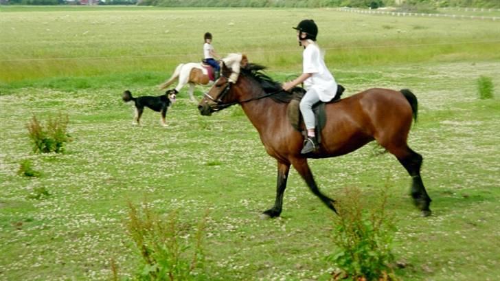 Anden særlig race Lover Girl † - Sabrina og Lover Girl billede 3