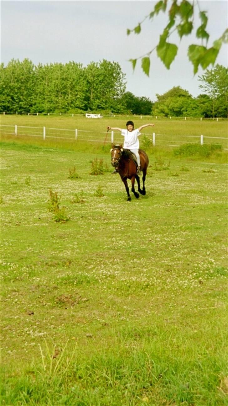 Anden særlig race Lover Girl † - Wow hvor er det fedt! billede 4