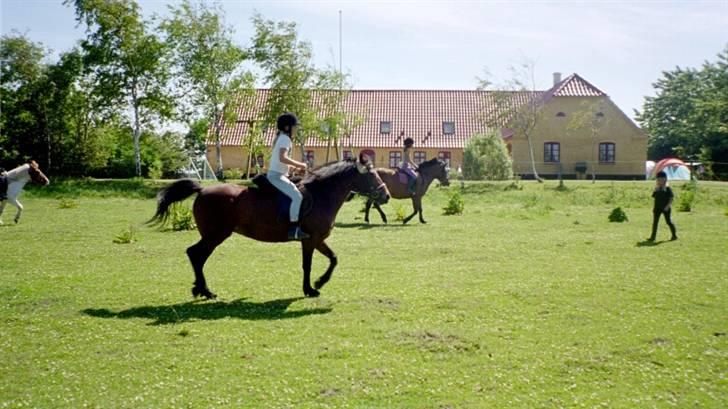 Anden særlig race Lover Girl † - Sabrina og Lover Girl ridelejr hjemme i Vollum 2004 billede 8