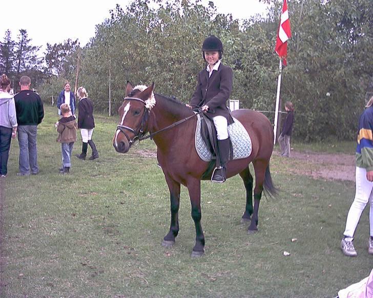 Anden særlig race Lover Girl † - Til 2. og sidste stævne (Ottersbøl) billede 10