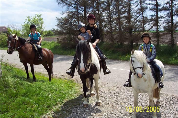 Anden særlig race Lover Girl † - På tur til Abterp billede 11