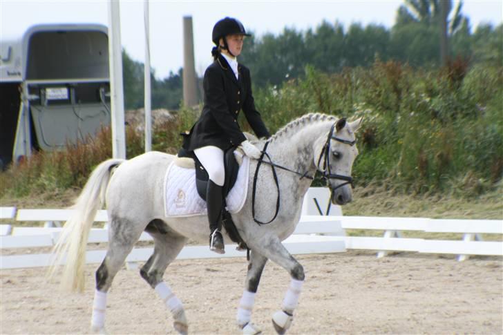 DSP Mr. Happy Goes Lucky billede 1