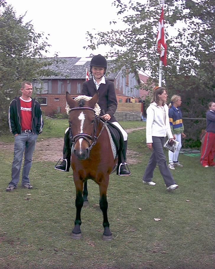 Anden særlig race Lover Girl † - Stævne i Ottersbøl billede 12