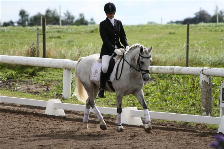 DSP Mr. Happy Goes Lucky billede 3