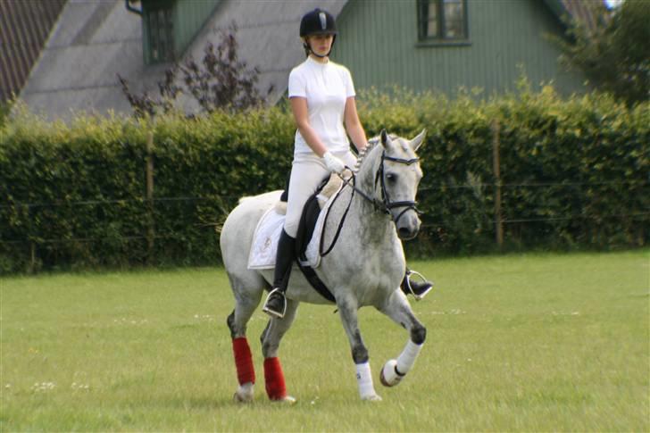 DSP Mr. Happy Goes Lucky billede 5