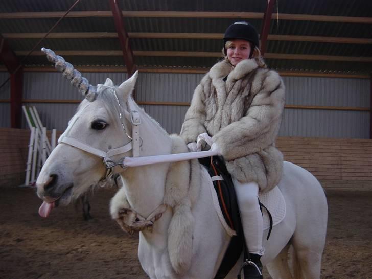 Connemara Freja Hedelund SOLGT;´(  - Freja til fastelavn på FHSR som en enhjørning 1 billede 4