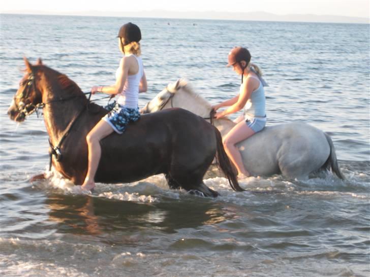 Connemara Freja Hedelund SOLGT;´(  - Lotte på HR. Olsen og mig på Freja billede 12