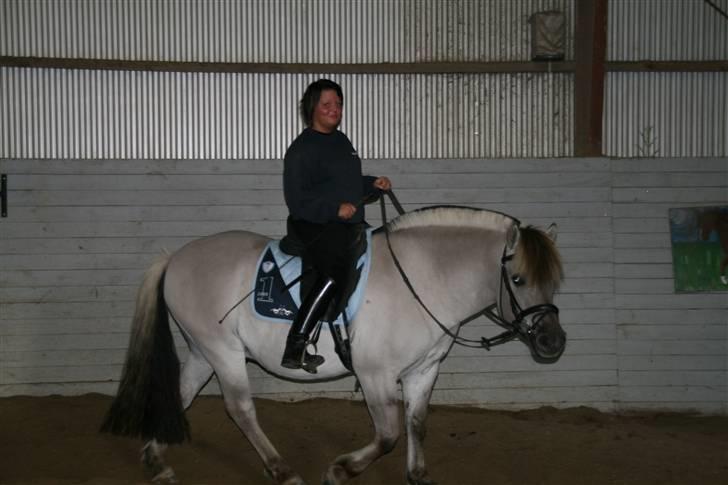 Fjordhest Ingegård's QTO *Savnet* <3 - Puh tykke Qto det går ikka med al det græs, hehe han ligner lidt en ifolet hoppe Ggg.. billede 13