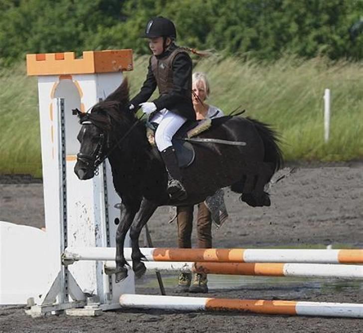 Shetlænder Tulle - Tjek lige de bagben;) hun har en sej teknik:p Foto: Mig billede 11