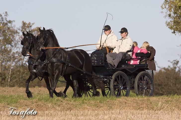 Frieser R.I.P. Mayke van de Berken Heove billede 14