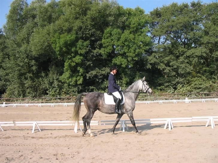 Anden særlig race máshiri †R.I.P† - 3# Hun har set noget :-) d. 25/9-05 billede 3