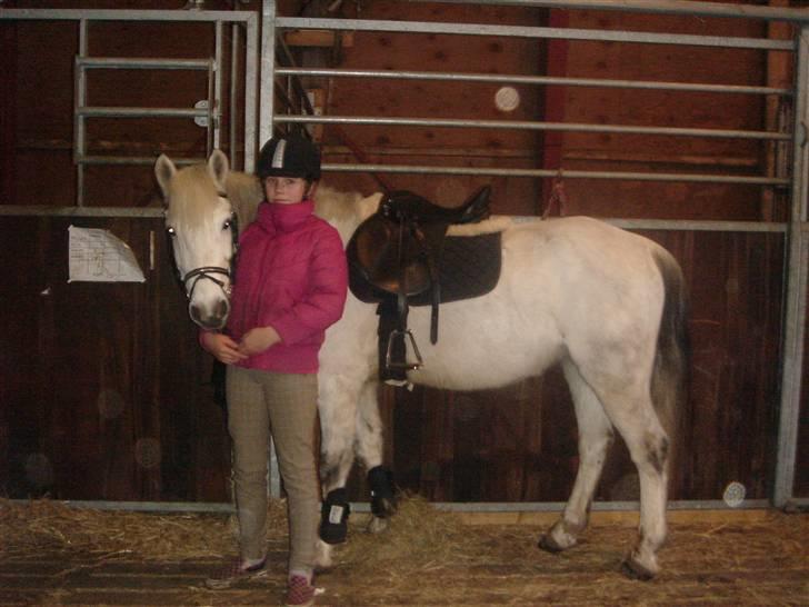 Anden særlig race cornelius(SOLGT Og savnet - så skal vi snart ud og ride<3<3<3<3 billede 2