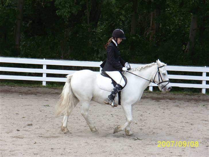 Anden særlig race Lurifax Gl. part - Schenkelvigning billede 9